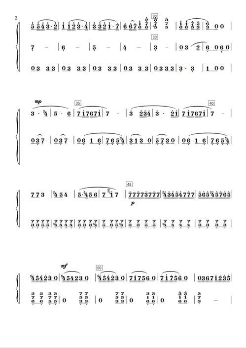 成人学简谱节奏视频大全,视频大全学习攻略