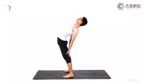 成人扭腰训练板图片视频,轻松打造健康曲线——成人扭腰训练板体验分享